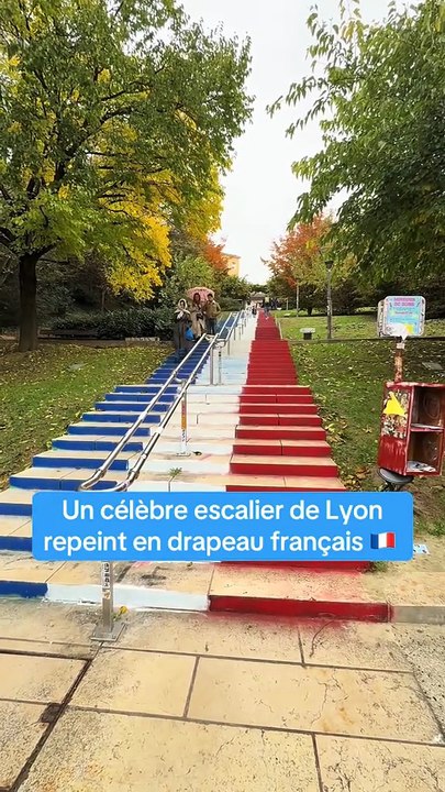 Un escalier de Lyon a été repeint en bleu, blanc, rouge des couleurs du drapeau français