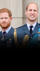 The reason Harry and William are most likely to reunite