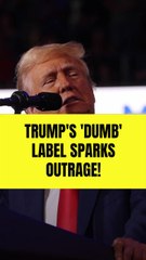 Donald Trump Slammed for Calling Democrats 'Dumb' People With 'Low IQs'