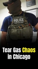 Federal agents hit Chicago police officers with tear gas