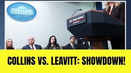 Leavitt Makes Suggestion To Reporter Following Question About Violence and National Guard Deployments