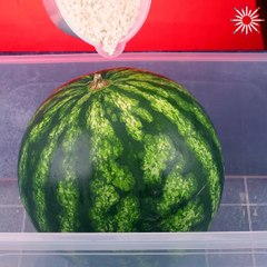 Watermelon hacks that are actually smart!