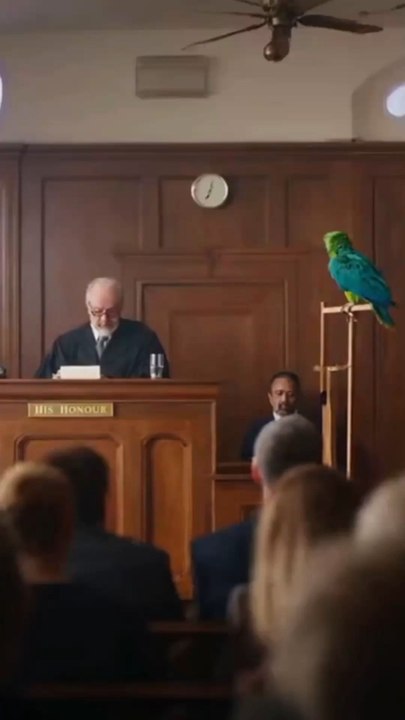 The Feather Affair#AIShorts #CinematicShort #BirdTok #FunnyAnimals #JudgeAndBeak #ComedySketch🏷️ #ParrotComedy #CourtroomHumor #BritishComedy #FunnyShorts #ViralReels #TalkingParrot #UKHumor