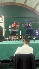 Trionfo calabrese al primo Trofeo Pugilistico “Città di Africo”: la Calabria domina la Puglia 7-1 tra applausi e grande entusiasmo