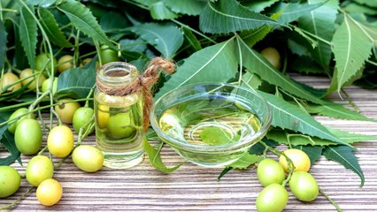 9 Reasons Why Every Gardener Should Have Neem Oil Handy At All Times