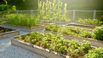 8 Reasons Why You Should Build Raised Beds In Fall For Next Spring’s Garden