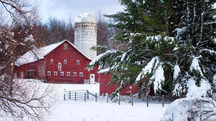 10 Signs We Have A Bad Winter Ahead – According To Folklore