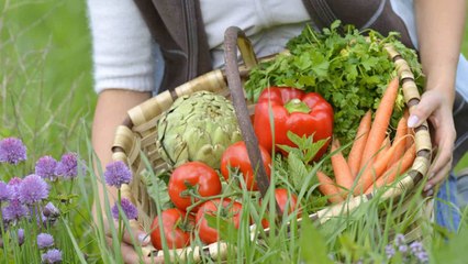 10 Gardening Tips for Extending Your Vegetable Harvest Into the Fall