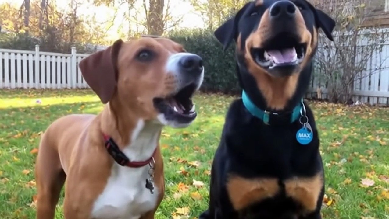 Asdfmovie12 Deleted Scenes (Veo3.1 Version)_youtube