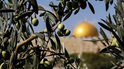 Holy Gardening: 9 Plants With Religious Significance