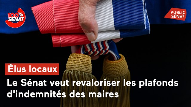 100% Sénat - Elus locaux : le Sénat revalorise le plafond d'indemnités des maires