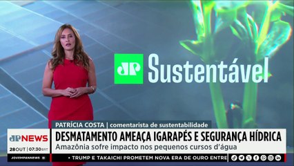 Desmatamento na Amazônia afeta igarapés e segurança hídrica da região | JP SUSTENTÁVEL