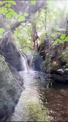 Island of Lost Souls: Unearthing the Haunted Pool's Dark Legends