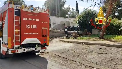 Raffiche di vento forte a Quartu Sant'Elena: albero crolla in un cortile privato