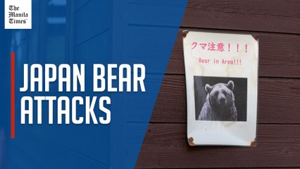 Japan governor asks for military help against 'dire' bear attacks