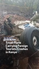 Small Plane Carrying Foreign Tourists Crashes in Kenya