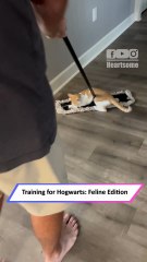 Kitten Rides Push Broom Like a Tiny Cleaning Wizard 🐱✨|| Heartsome 💖