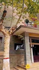 rising again the story of us chinese drama