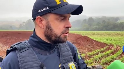 Fuga alucinante termina em capotamento e apreensão de maconha na BR-369 em Cascavel