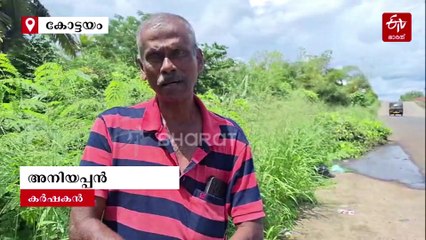 ഈ നാറ്റം സഹിക്കവയ്യേ...! പാടശേഖരങ്ങളിൽ ശുചിമുറി മാലിന്യം, കർഷകരും നാട്ടുകാരും പ്രതിസന്ധിയിൽ