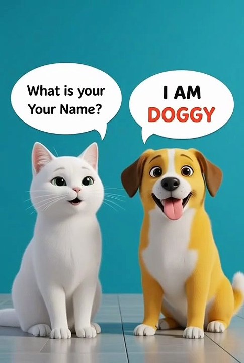 Cat and dog like chicken