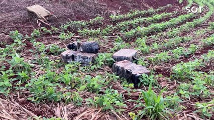 Homem com tornozeleira eletrônica foge da PRF, capota o carro e é socorrido em estado grave na BR-369 em Cascavel