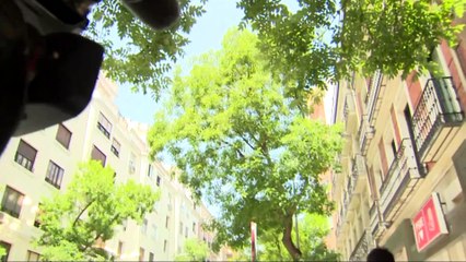 PSOE informa al TS de que retiró casi un millón de euros de su cuenta para pagos en metálico