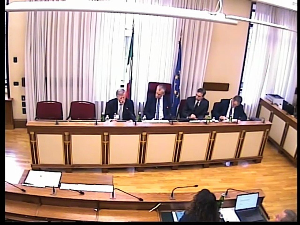 Roma - ​​​Emergenza covid, audizione Andreoni (28.10.25)