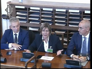 Roma - Congedo parentale-Audizione-UGCI,Valore D,Fondazione Cresciamo il Futuro,Laura Baldassarre,Responsabile advocacy istituzionale UNICEF,Francesco Belletti,Simona Liguoro,Achiropita Curti,membro direttivo "Ditelo sui tetti" (29.10.25)