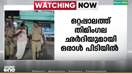 ഒറ്റപ്പാലത്ത് തിമിംഗല ഛർദിലുമായി ഒരാൾ പിടിയിൽ