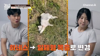 "내 몸은 내가 지킨다" 늑대 3호 만나기 두려운 김성주! 장비까지 풀장착했다?!