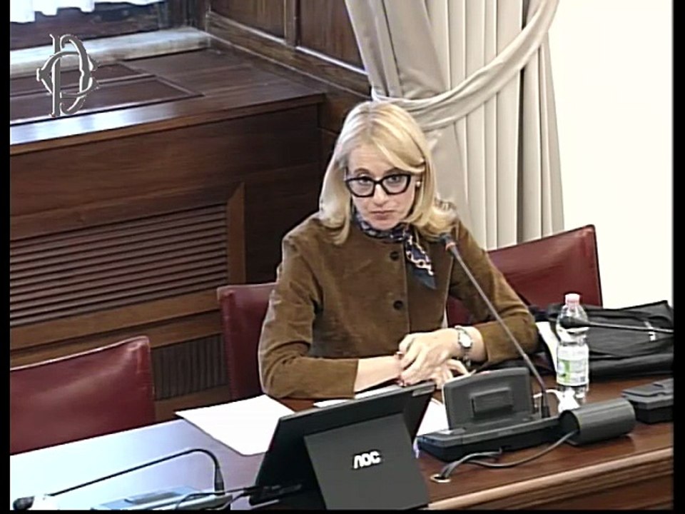 Roma - ​​​Modifiche alla disciplina della struttura e del funzionamento dell'ANVUR – Audizione – FLC-CGIL – Rete 29 aprile – Mario Pianta, professore ordinario di politica economica - ANDU – Atto del Governo n. 304 (28.10.25)