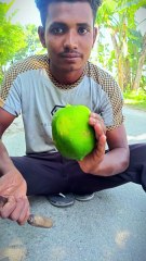 Green Ripe Papaya Cutting — Fruit Cutting Skills