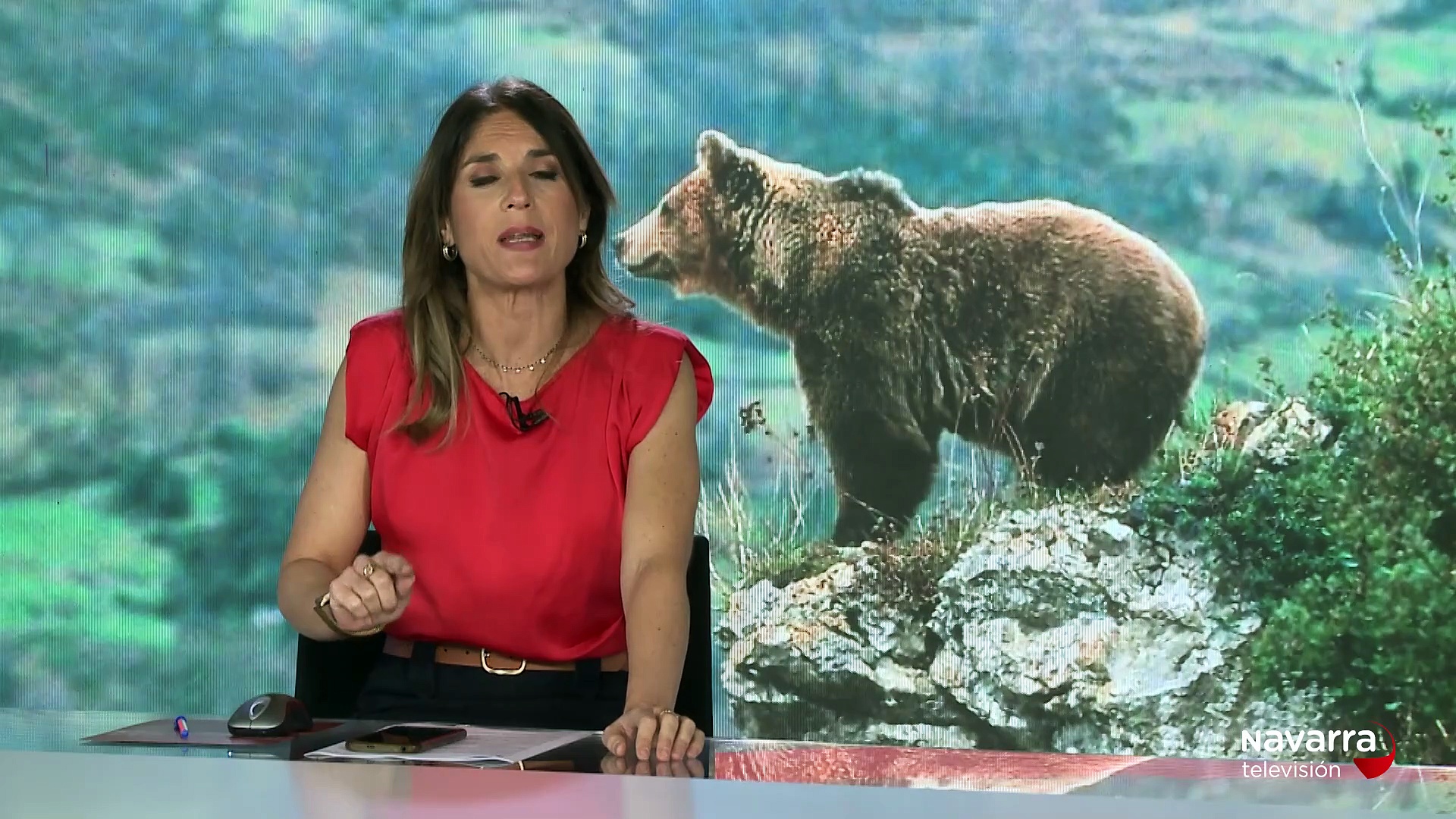 Noticias de Navarra 14:30h 28/10/2025