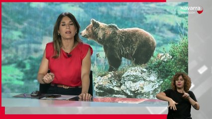 Noticias de Navarra 14:30h 28/10/2025 Lengua de Signos