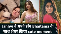 Janhvi Kapoor  ने शेयर किया अपने पेट Bhaitama के साथ मस्तीभरा वीडियो, फैंस बोले 