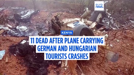Eleven dead after plane carrying German and Hungarian tourists crashes in Kenya