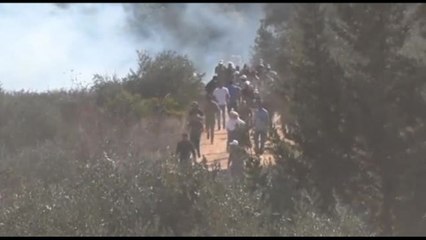 Coloni israeliani impediscono la raccolta delle olive in Cisgiordania