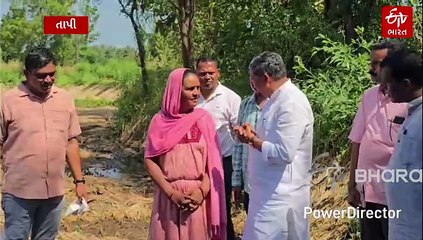 તાપી જિલ્લામાં કમોસમી વરસાદથી પાકનું નુકસાન: મંત્રીઓએ નિરીક્ષણ કરી સર્વે માટે આદેશ આપ્યો