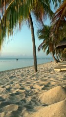 DES COULEURS INCROYABLES au Morne