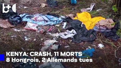 Crash d'un avion avec des touristes européens : aucun survivant, 8 Hongrois et 2 Allemands à bord