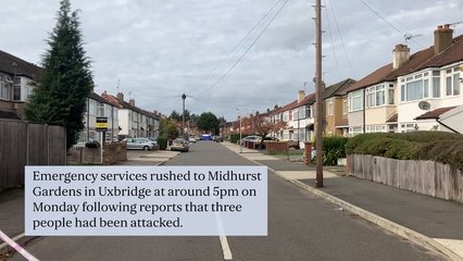 Man dies and boy, 14, hurt in triple stabbing in Uxbridge as suspect arrested on suspicion of murder