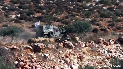 Coloni israeliani impediscono la raccolta delle olive in Cisgiordania
