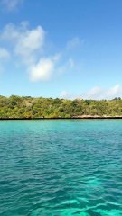 SUPERBE ILE ENDEMIQUE de Maurice