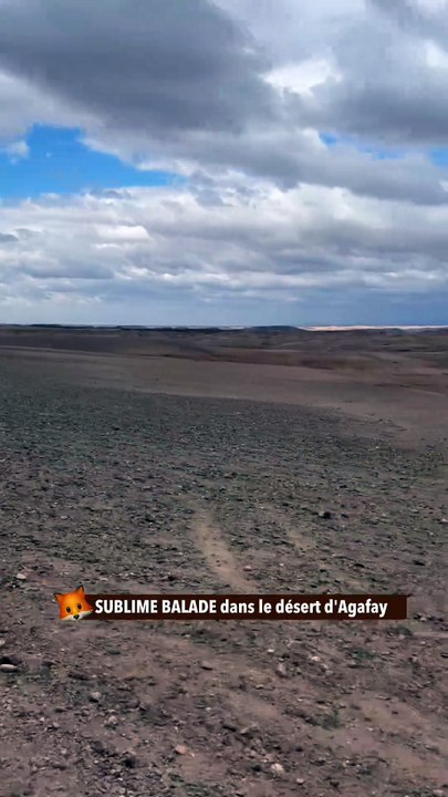 SUBLIME BALADE dans le désert d'Agafay