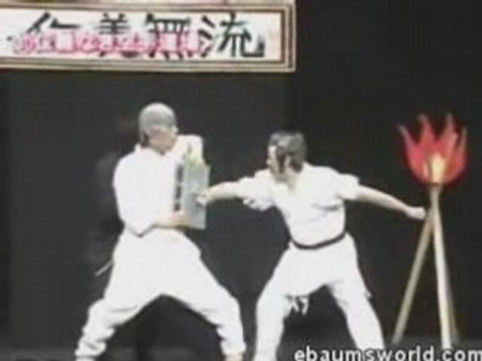 Hilarious Martial Arts
