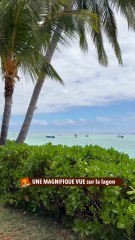 UNE MAGNIFIQUE VUE sur la lagon
