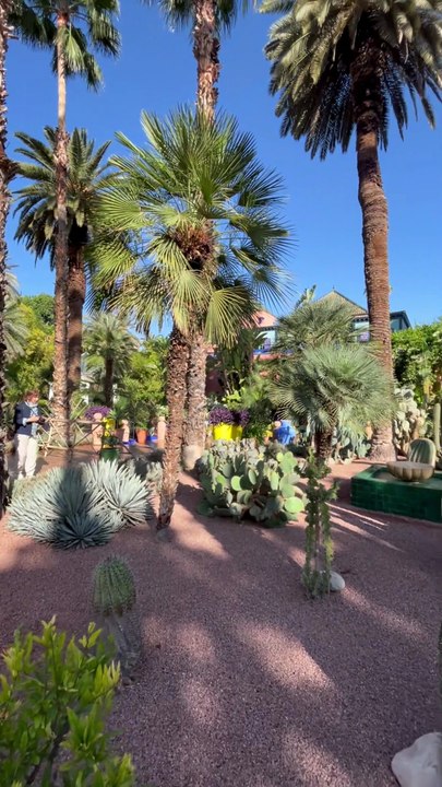 VUE SUR LES TOITS de Marrakech