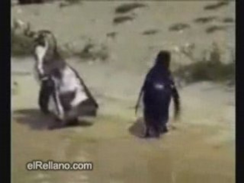 Rentrer chez soi le vendredi soir