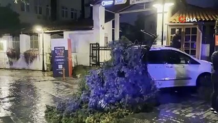 Fırtınanın devirdiği ağaç park halindeki aracın üzerine düştü